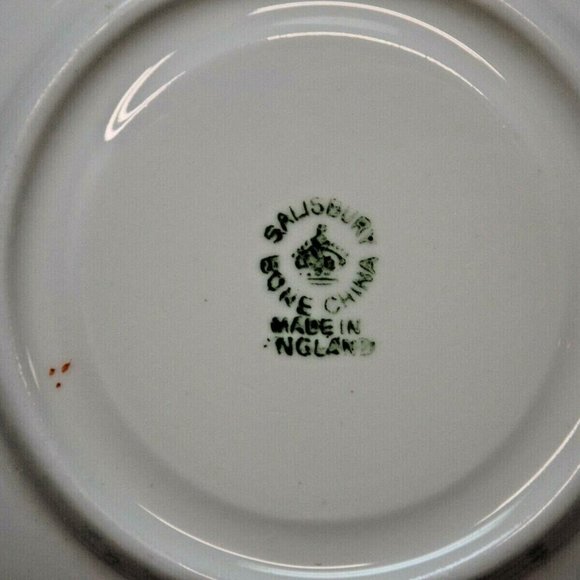 Salisbury Fine Bone China England Floral Footed Tea Cup and Saucer Pat. #1956A - Picture 7 of 14